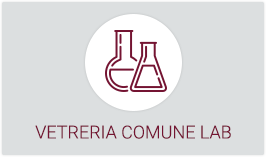 VETRERIA COMUNE LAB