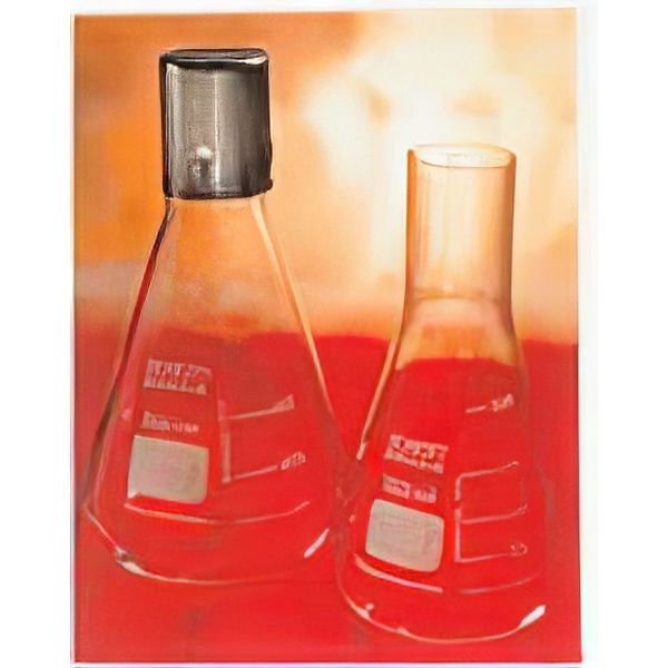 Matracci Erlenmeyer per coltura, vetro Pyrex/Duran, collo diritto diam. 38mm.
